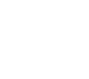 andis logo 1.png